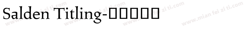 Salden Titling字体转换
